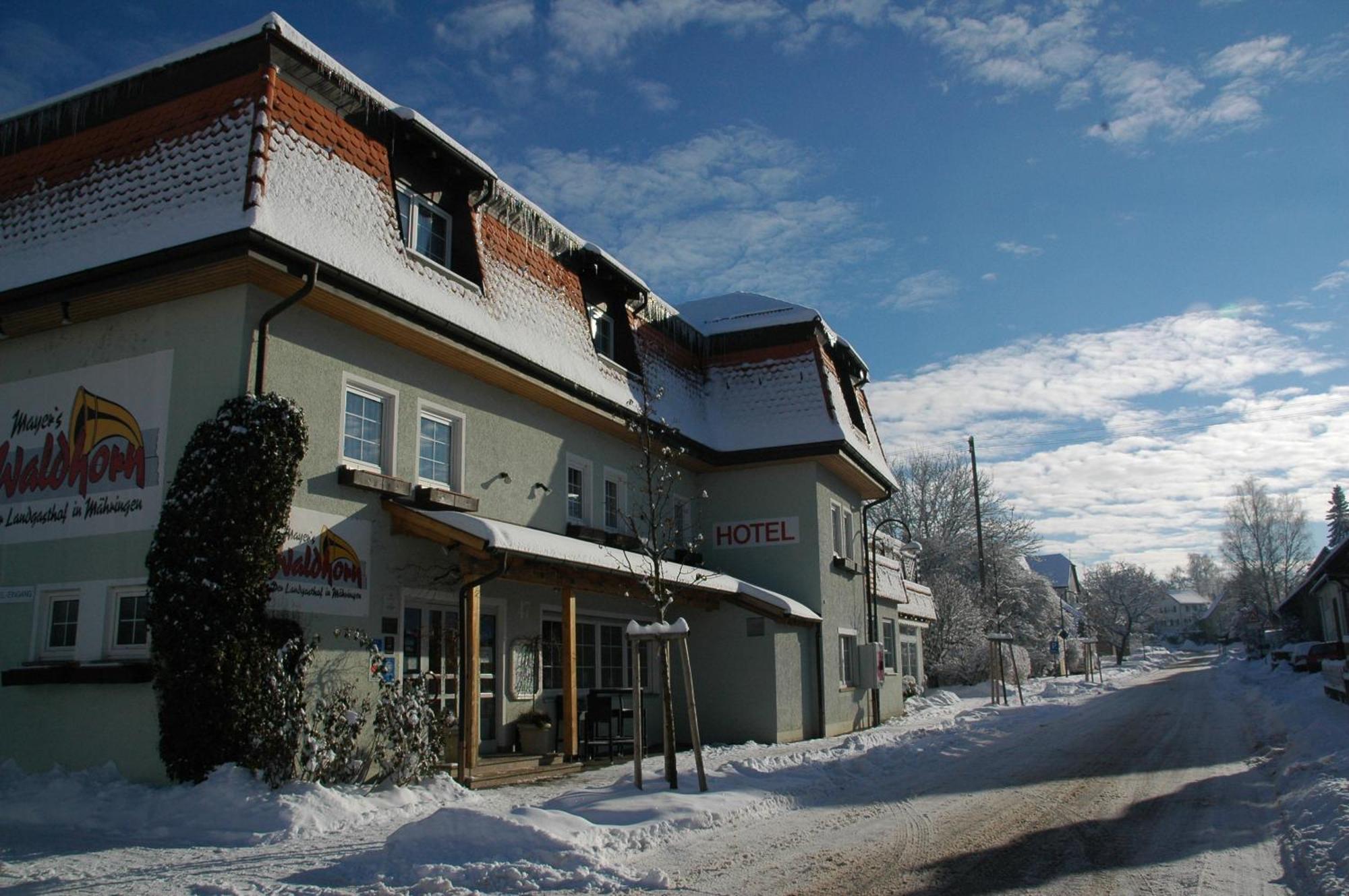 Mayers Waldhorn - Zwischen Reutlingen Und Tuebingen Kusterdingen エクステリア 写真