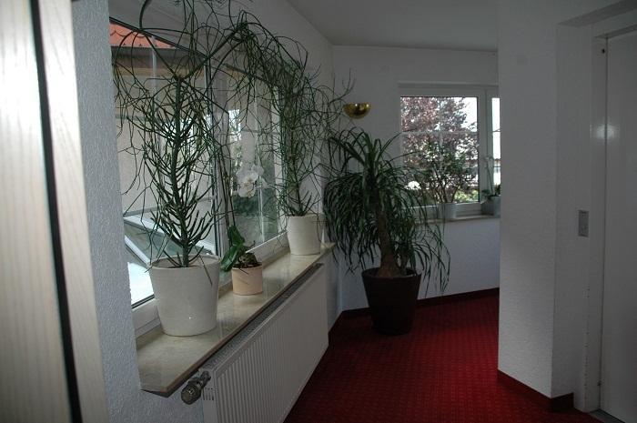 Mayers Waldhorn - Zwischen Reutlingen Und Tuebingen Kusterdingen エクステリア 写真